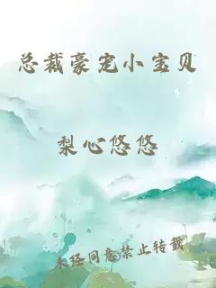 總裁豪寵小寶貝