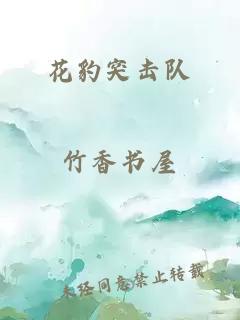 花豹突擊隊